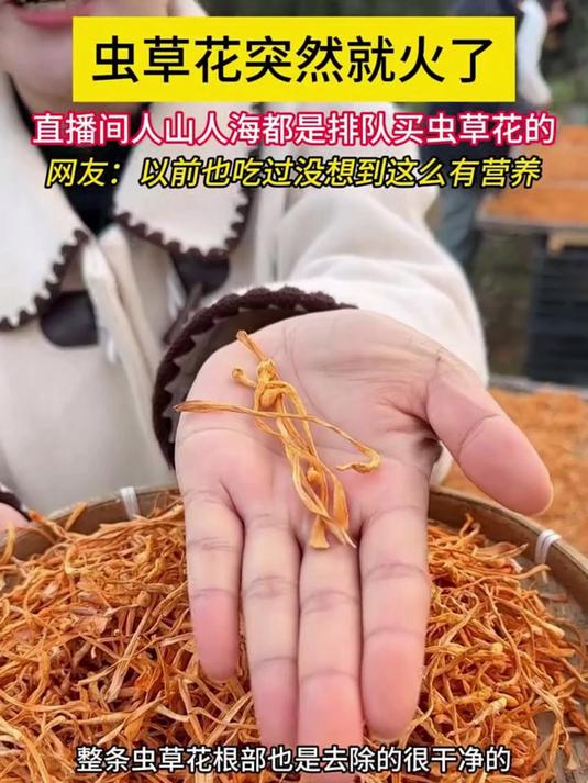 家常煲汤好物,虫草花炖鸡超美味