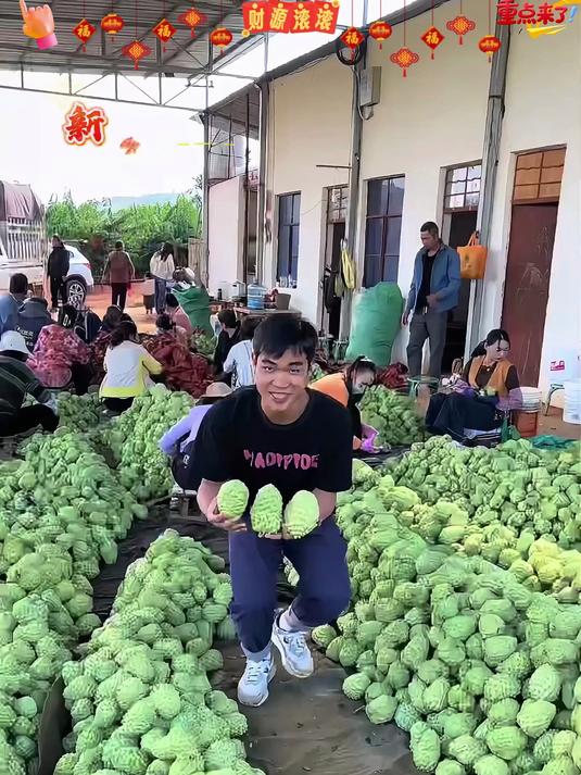 这个超级好吃的释迦果!