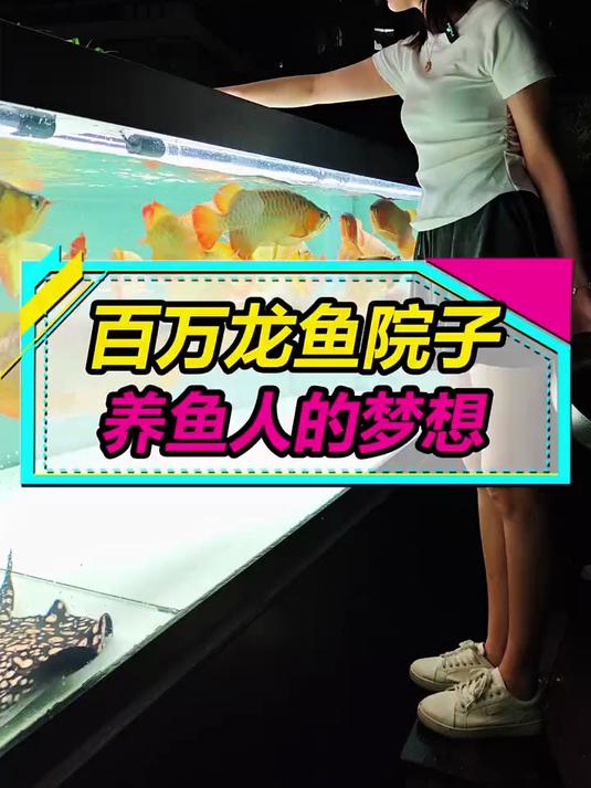 花费百万打造的龙鱼院子，养鱼人的梦想呀！