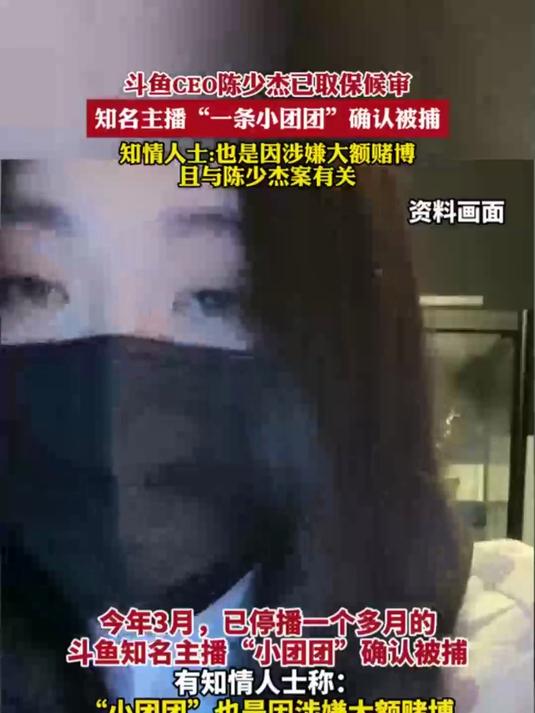 斗鱼CEO陈少杰已取保候审,知名主播“-条小团团”确认被捕