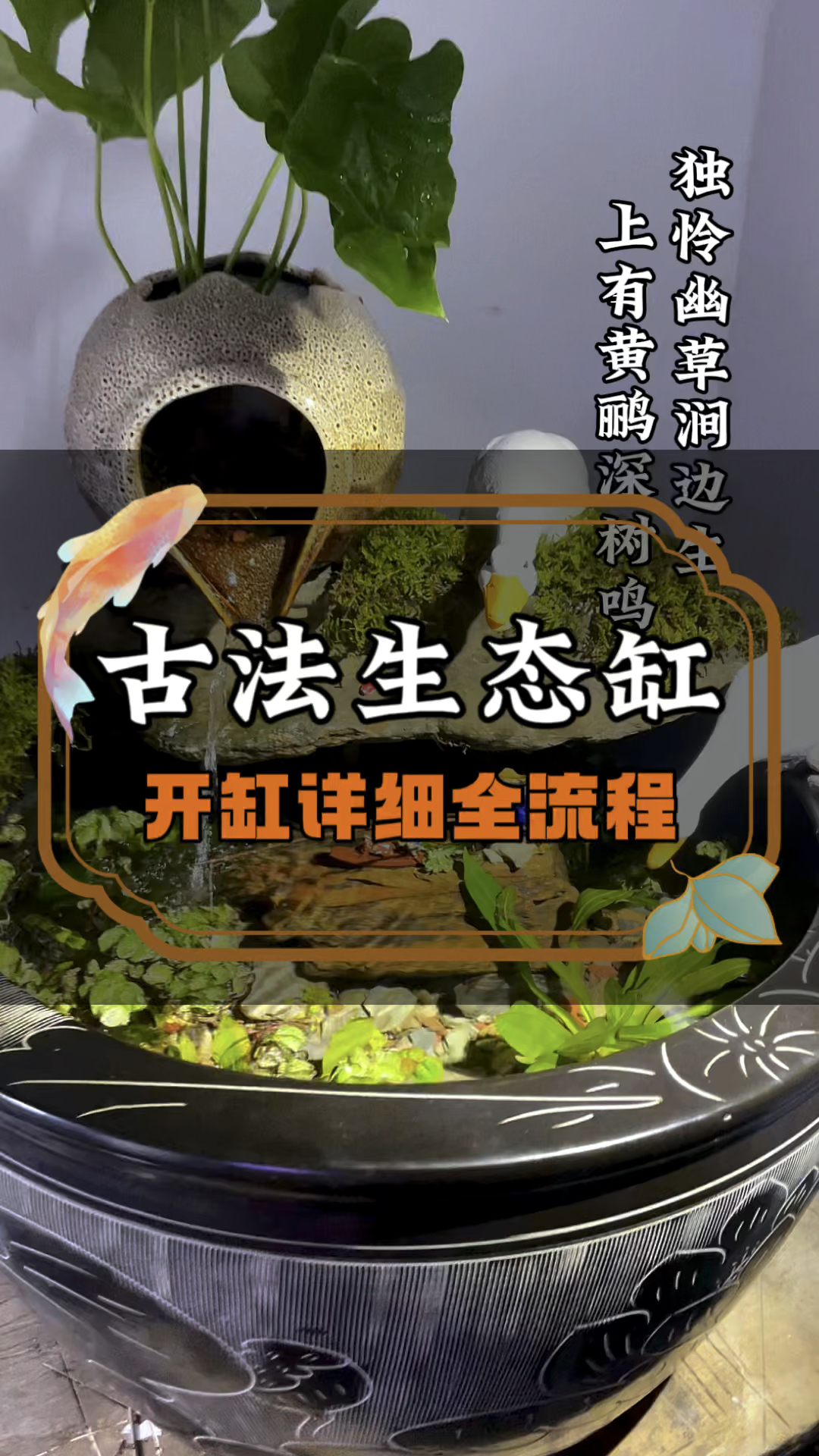 古法生态缸造景全过程,喜欢的记得点赞收藏哦!