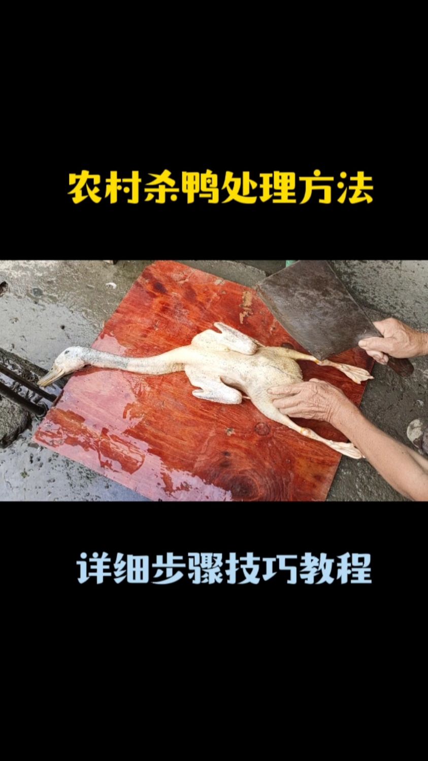 农村杀鸭处理方法详细步骤技巧教程