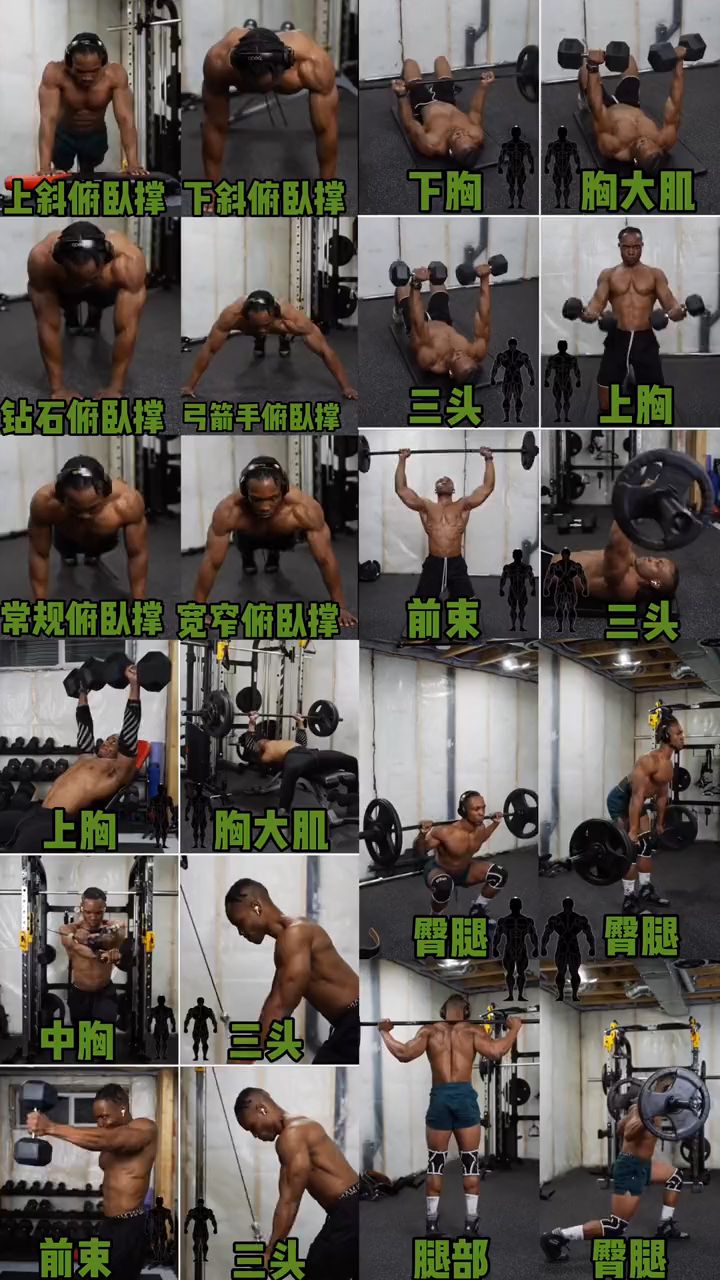 健身干活,还不知道该怎么练肌肉的小白快点赞收藏