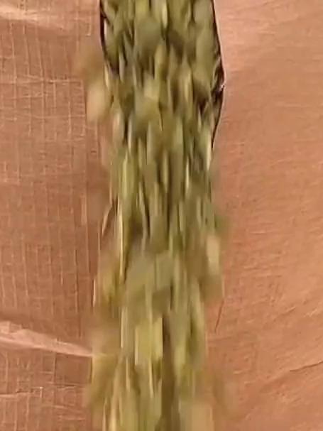 办公室下午茶好搭档 南瓜子仁解馋无负担超好吃