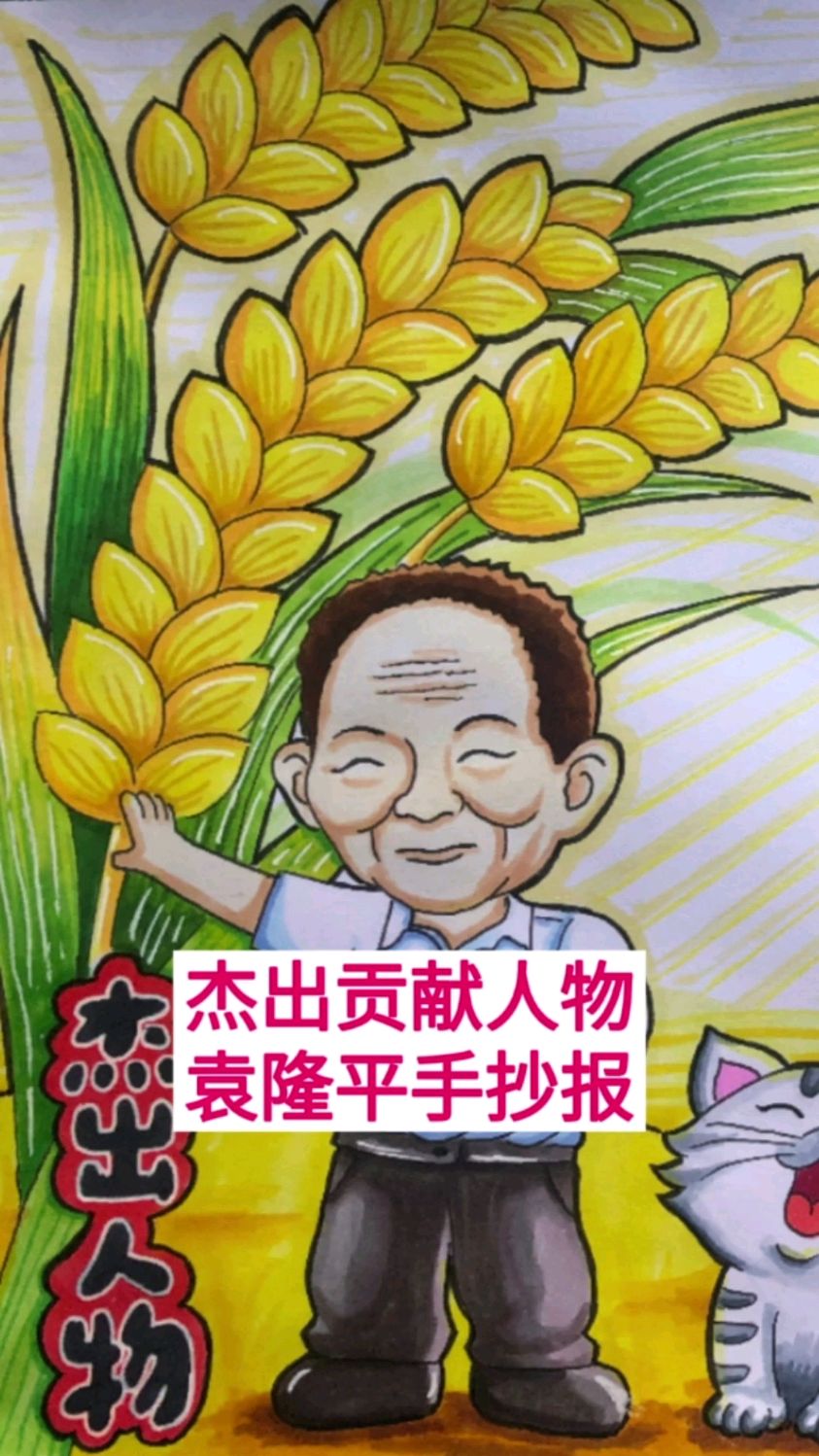 简单漂亮5年级杰出人物手抄报,杂交水稻之父袁隆平手抄报来了,为国家富强而奋斗