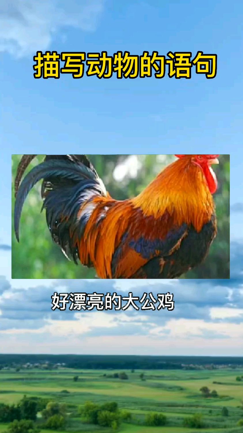 描写动物的语句