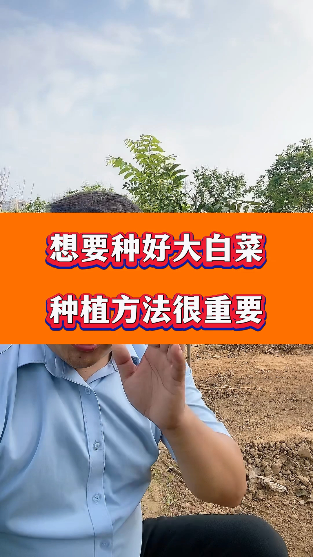 想要种好大白菜,种植方法很重要!