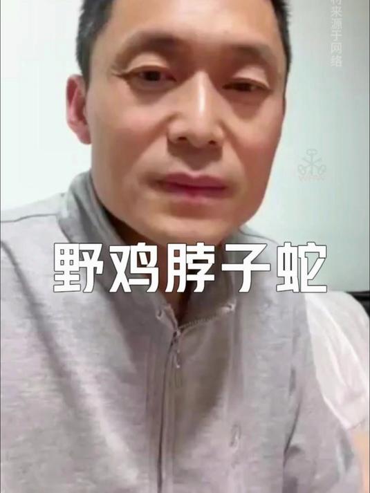 野鸡脖子蛇#蛇##野鸡脖子##虎斑颈槽蛇##红脖颈槽蛇##毒蛇#