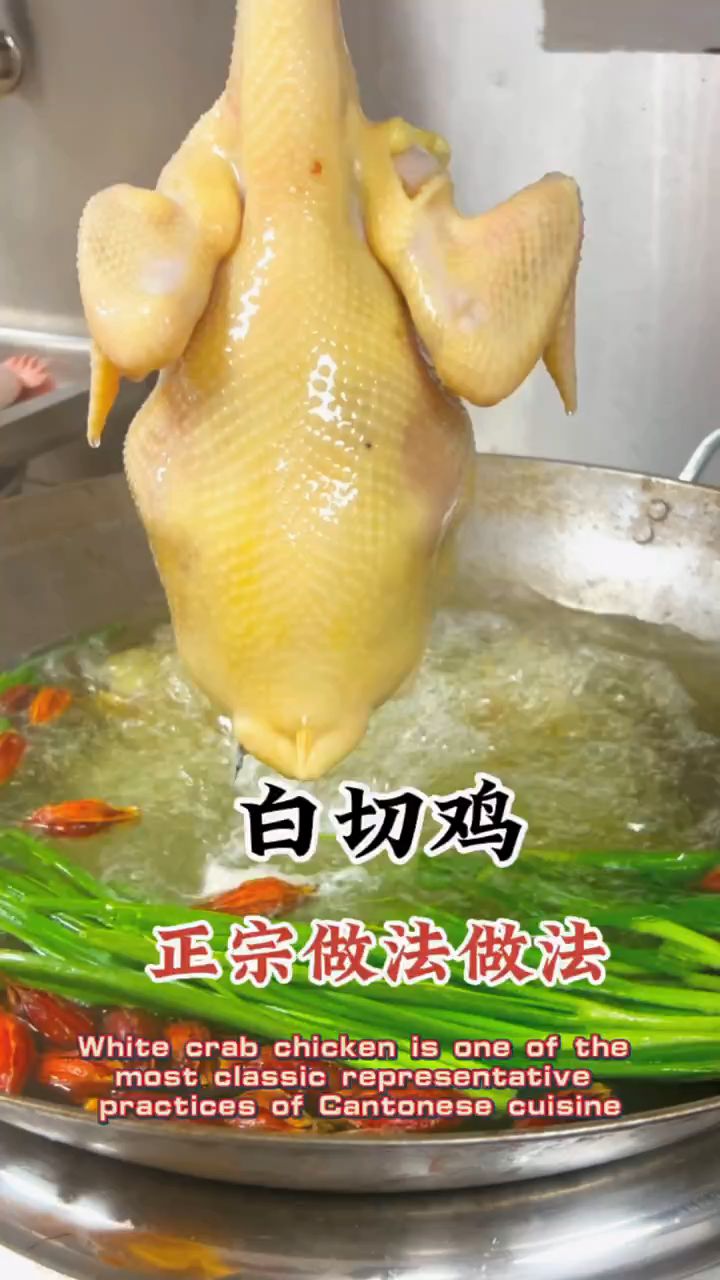 看完这视频,我不允许 还不知道白切鸡怎么做的人存在!#白切鸡 #广东白切鸡家庭做法