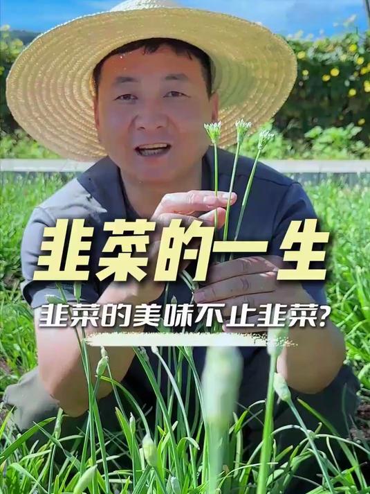比韭菜更好吃的是韭薹和韭菜花，你吃过吗