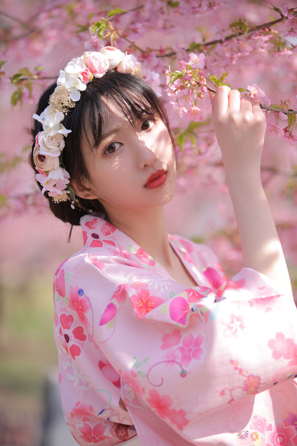 图片[8]-樱花-六色网