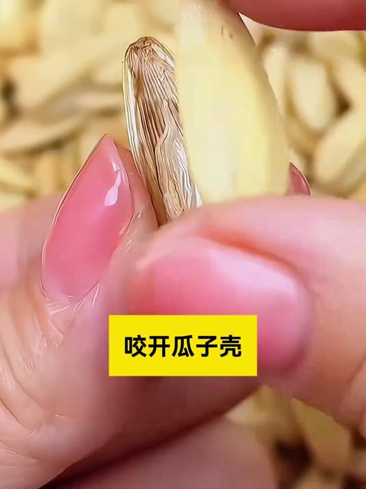 非遗三炒三晒工艺!柴火铁锅炒制不粘手,佐茶追剧更解压