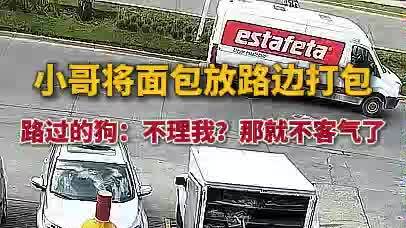 小哥将面包放路边打包,路边的狗:谢谢你了