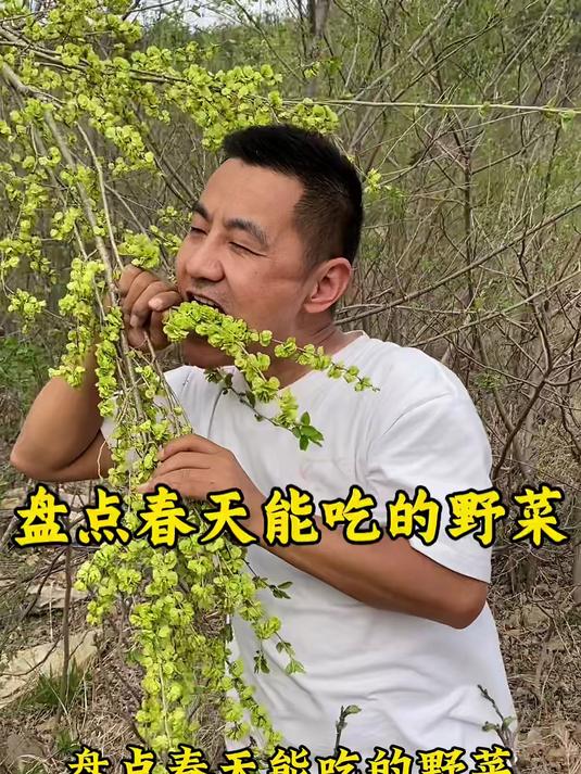 春天能吃的野菜、赶紧收藏起来！