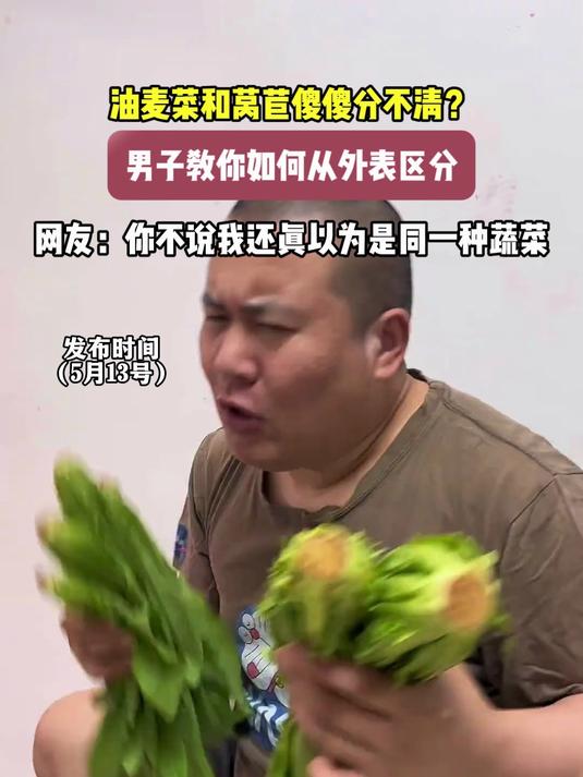 油麦菜和莴苣傻傻分不清？男子教你如何从外表区分