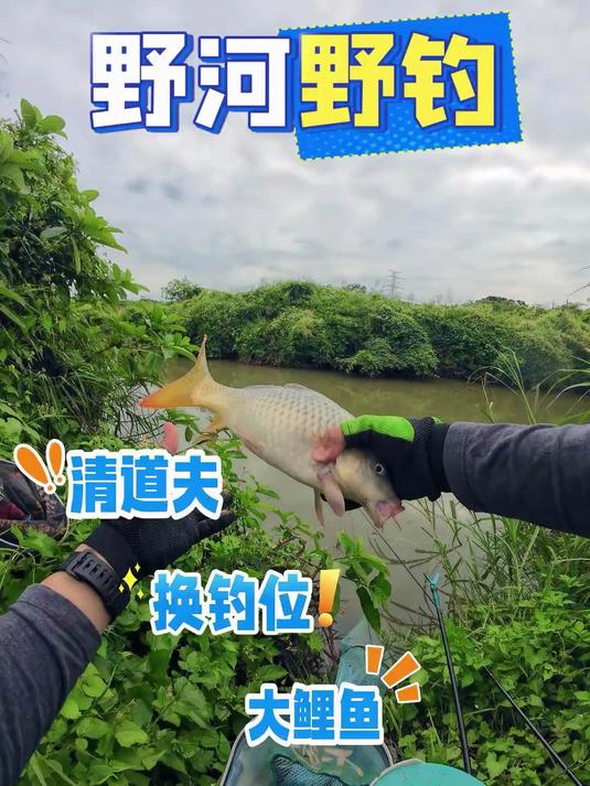 冬天的鱼真那么难钓吗？野钓鱼情千变万化，顺势破局终于上大鲤鱼