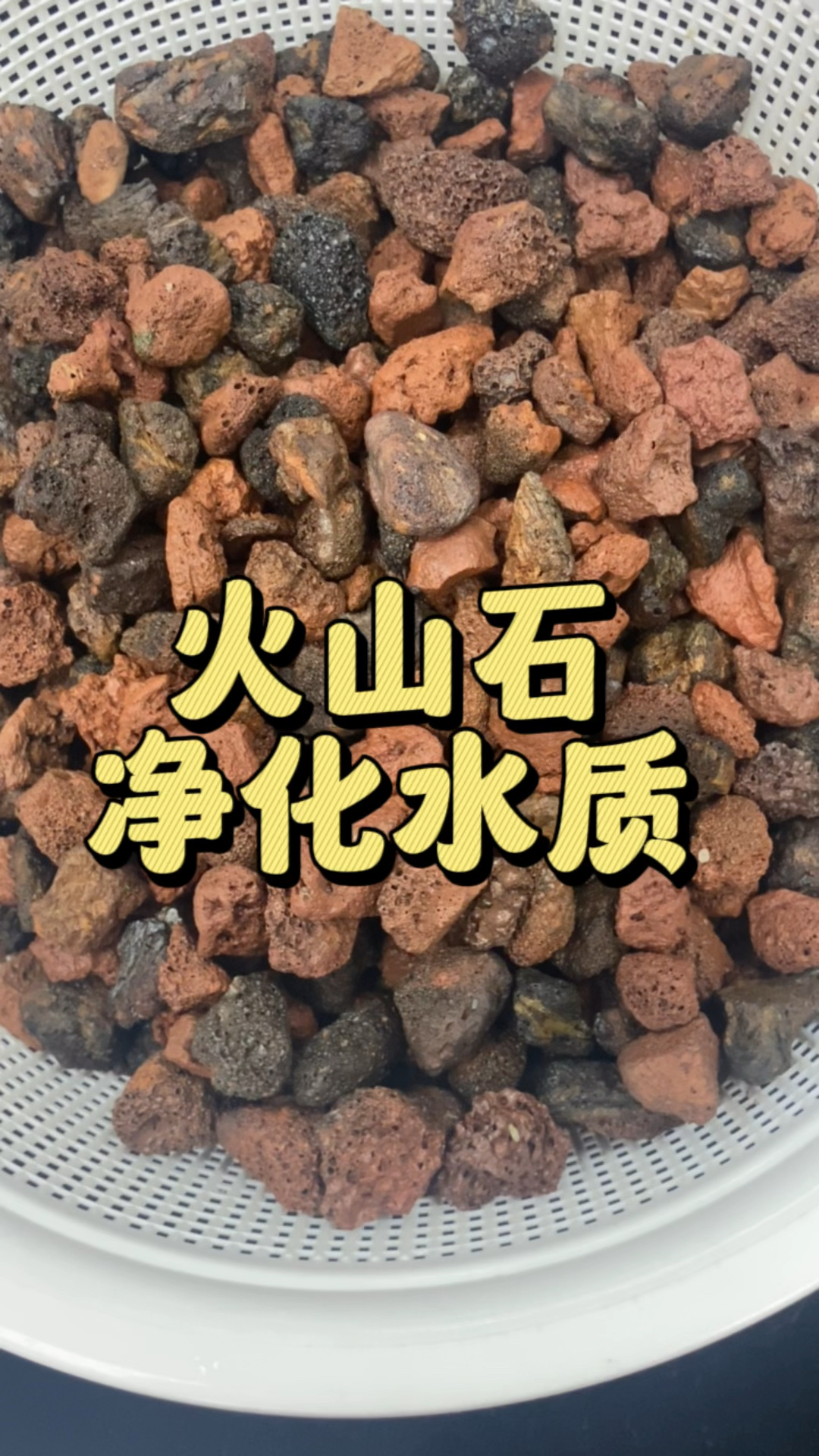 鱼缸里放什么石头能起到净化的作用?#水族 #火山石 #养鱼日记