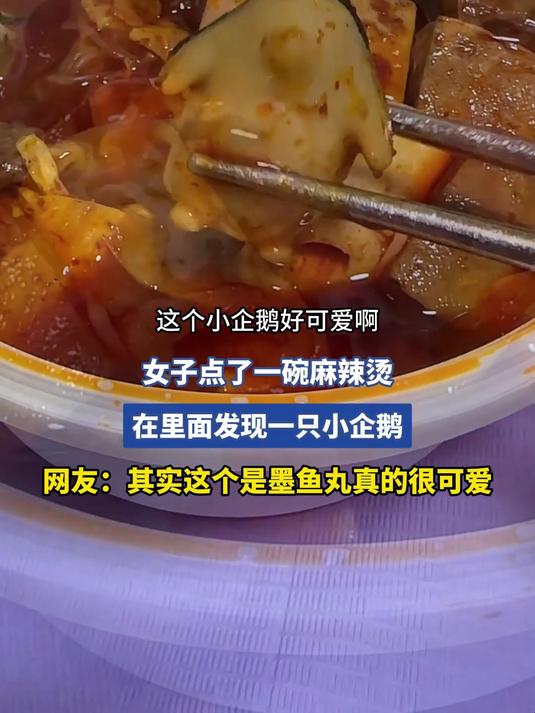 女子点了一碗麻辣烫,在里面发现一只小企鹅