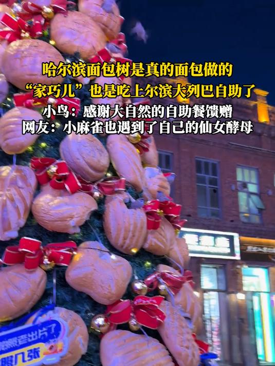 哈尔滨面包树是真的面包做的,“家巧儿”也是吃上尔滨大列巴自助
