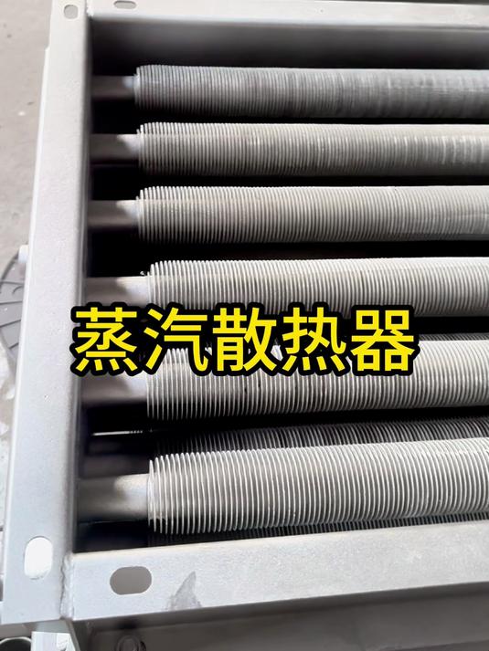 蒸汽散热器