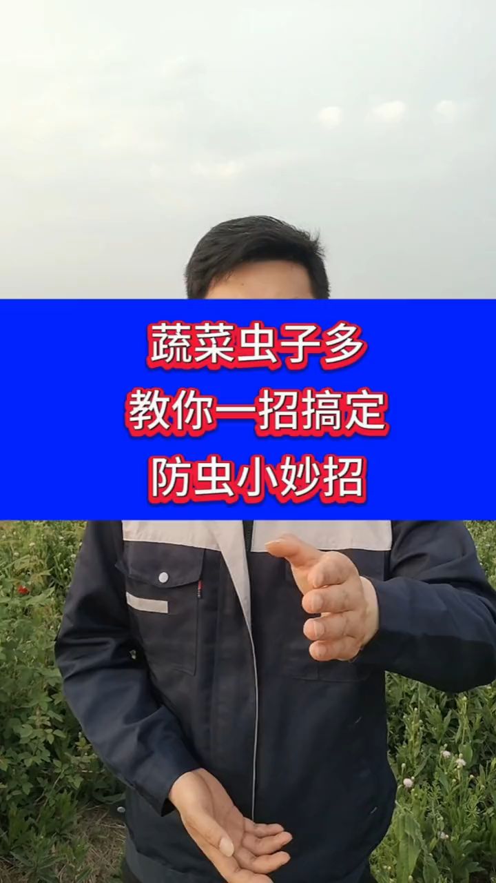 蔬菜虫子多教你一招搞定防虫小妙招。