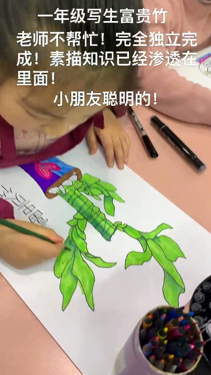 每个孩子都画得好才是真的好!少儿美术课堂实录,老师不帮忙完全自己独立画!赞