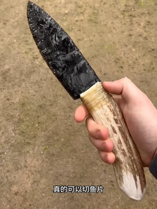 开局一块石头制作刀切生鱼片