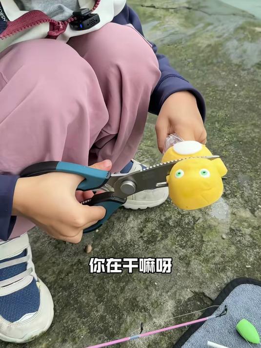 钓鱼这一块还在不断地创新,小女孩把玩具剪剪当鱼饵也能钓上鱼