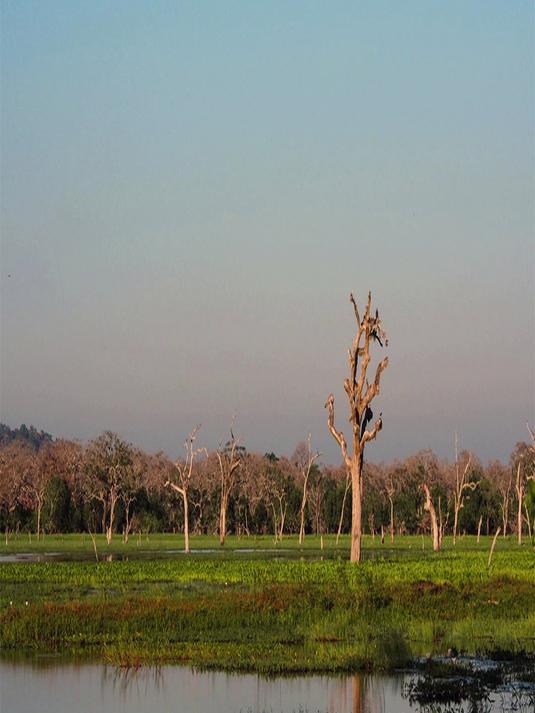 TCL 小黄人10公斤大眼萌AI超级筒 1.31洗净比滚筒洗衣机全自动家?