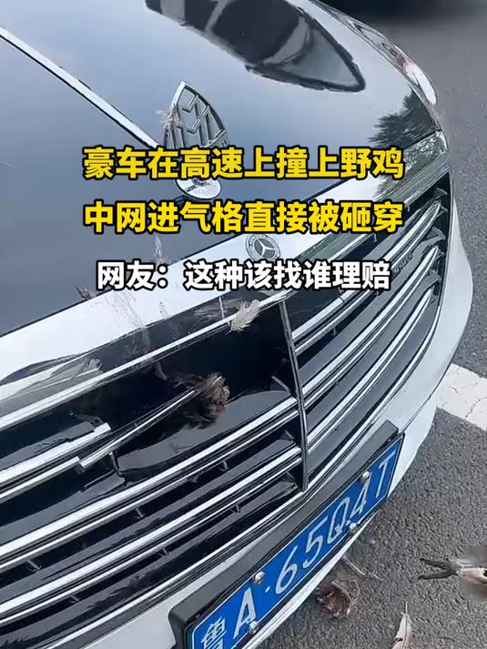 豪车在高速上撞上野鸡，中网进气格直接被砸穿