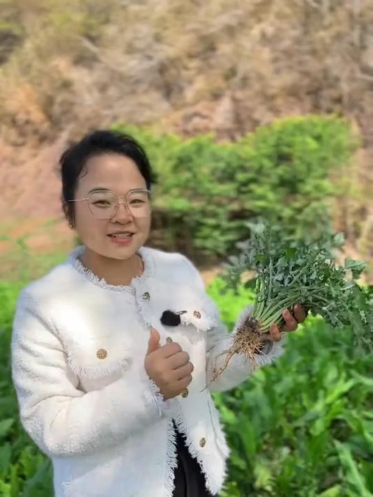 春天里最早冒头的野菜之一,泥胡菜也叫石灰菜,也是制作青团的主要野菜之一