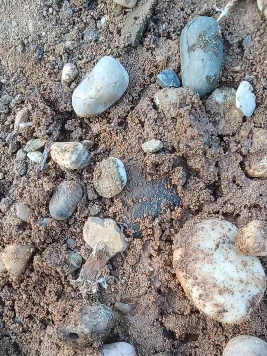 挖野菜奇遇 -挖到一个可爱的娃娃脸玛瑙!