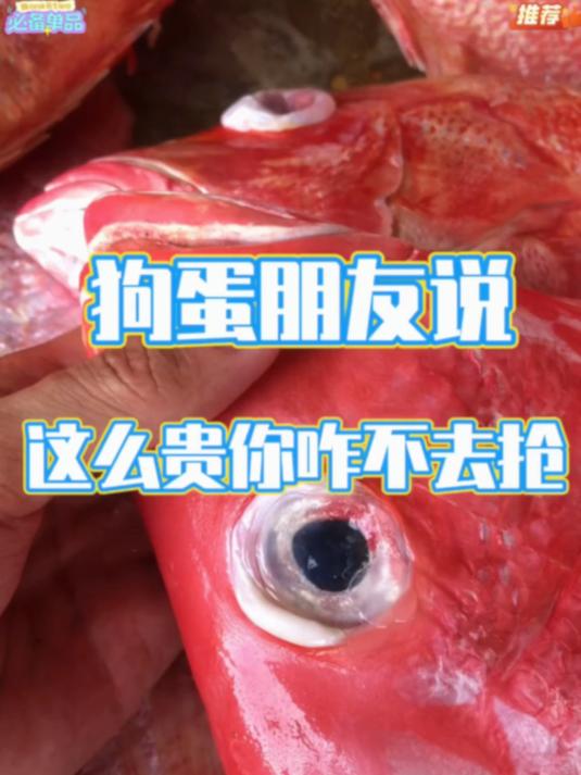 #红鱼#日晒风干鱼干,煎香焖煮都好吃,下酒必备