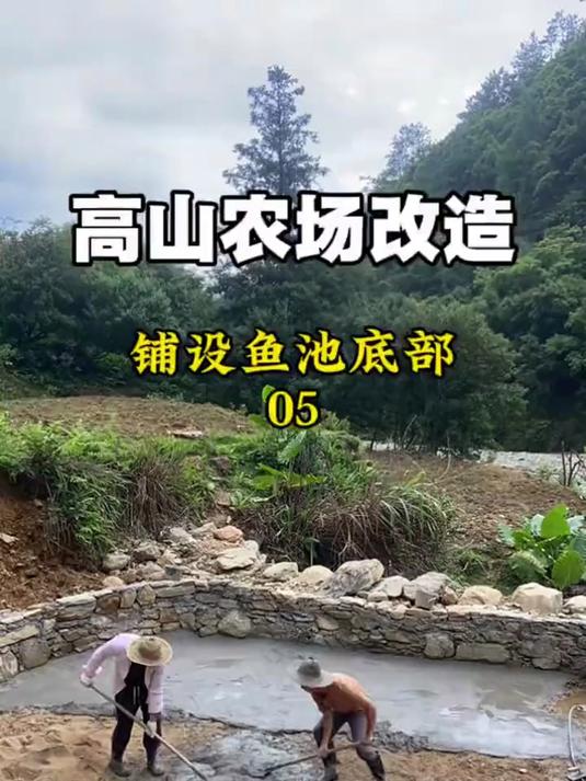 继续改造高山泉水鱼池，今天把鱼池底部全部铺上水泥砂浆。
