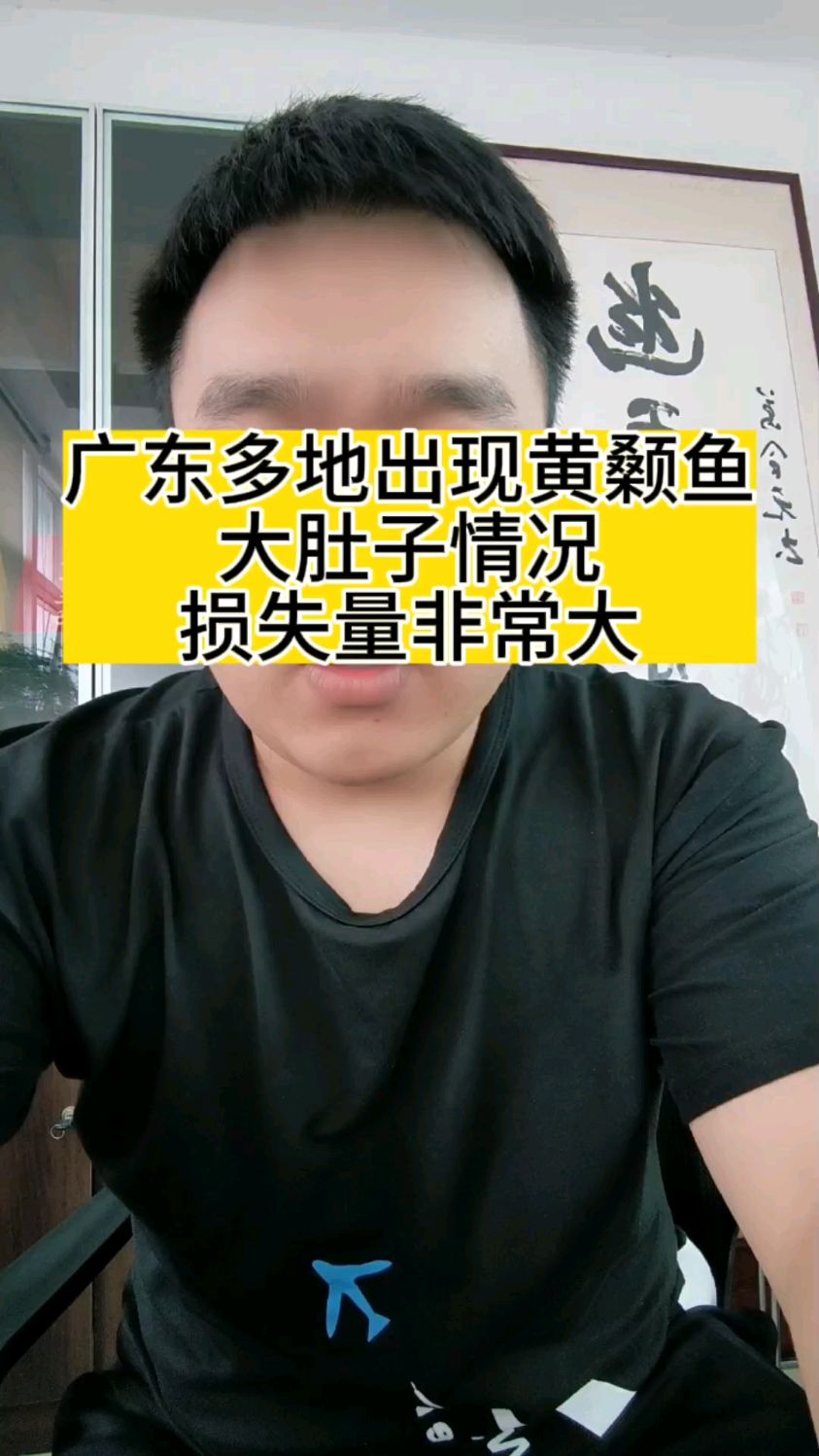 广东多地出血黄颡鱼大肚子的情况