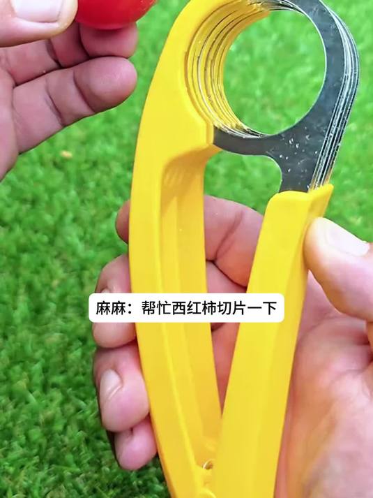 窝趣,看来西红柿不能切片啊