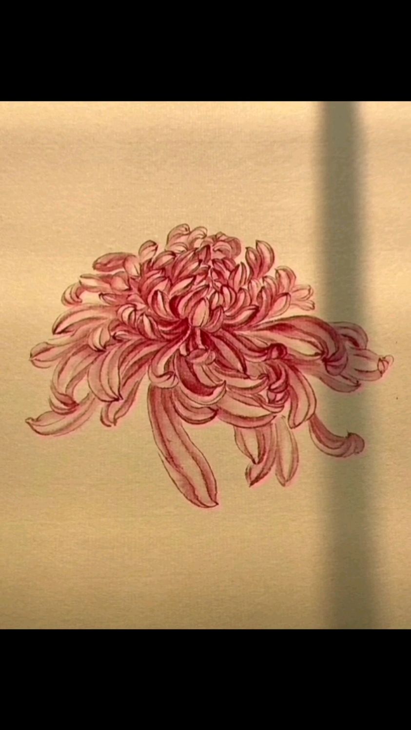 中国画菊花画法