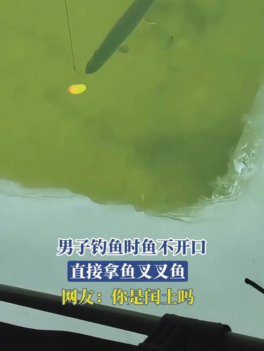 男子钓鱼时鱼不开口,直接拿鱼叉叉鱼,网友:你是闰土吗