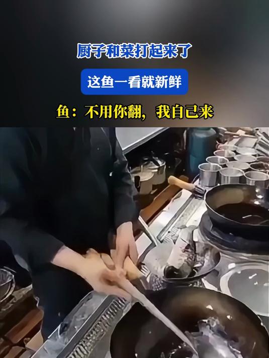 厨子和菜打起来了!这鱼一看就新鲜!鱼:不用你翻,我自己来