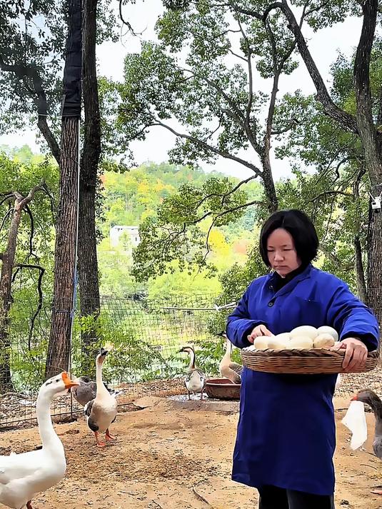 散养的土鹅蛋个头又大吃着也放心