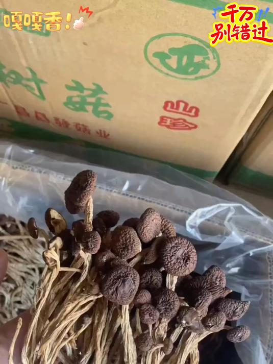 又是一道农家下饭菜腊肉炒茶树菇真的太香太下饭了亲