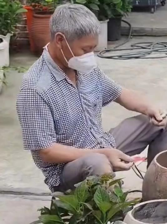 男子变废为宝,把废弃的泡菜坛子改成花盆