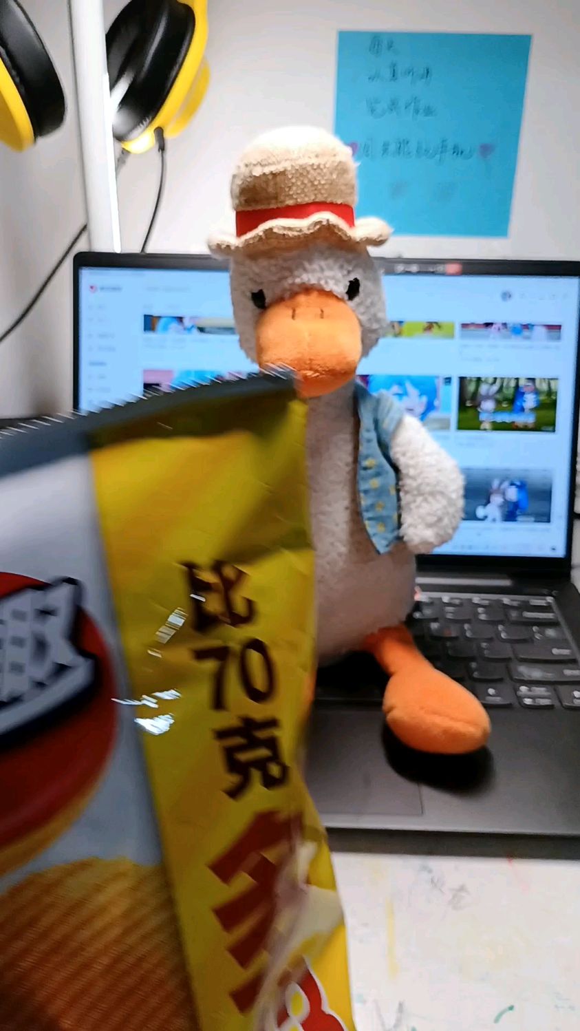 呆鸭日常丨吃薯片～
