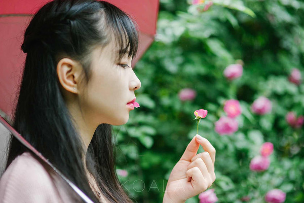 图片[9]-雨中蔷薇-六色网