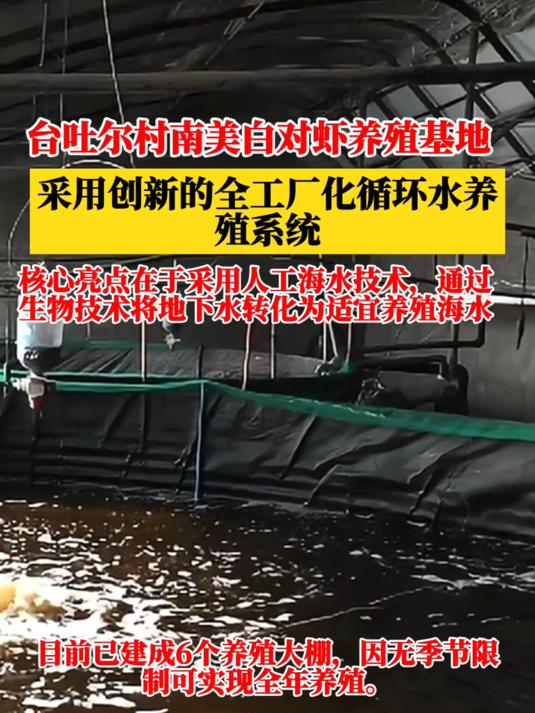 厉害,这个养虾基地打造6个大棚,产量达1万多公斤