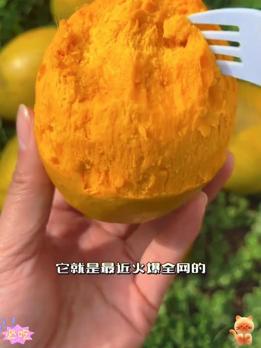 广西鸡蛋果宛如仙品！为何不全国推广！