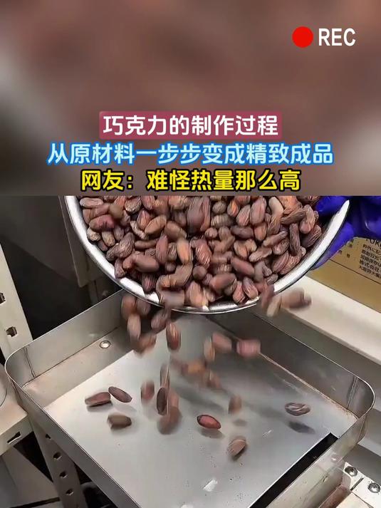巧克力的制作过程,从原材料一步步变成精致成品,网友:难怪热量那么高