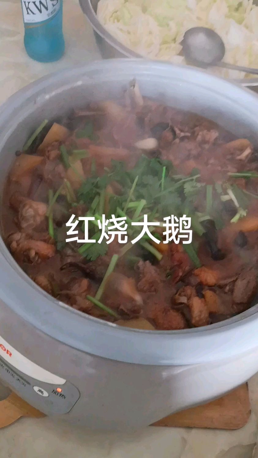 农批市场买半只大鹅58元,回去红焖,特别香!