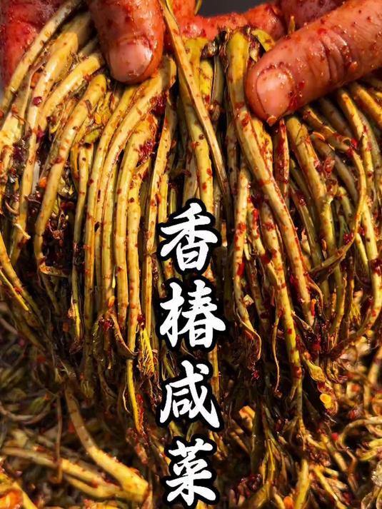 把“树上鲜”的香椿芽做成香椿小咸菜,这样放一年都不会坏