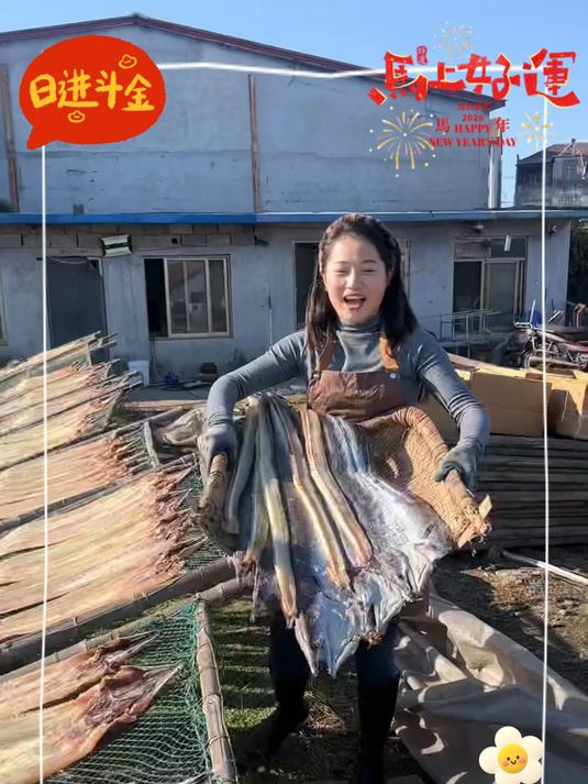 渔民新晒当季鳗鱼干,日晒风干,肉厚饱满,清蒸、红烧都很好吃